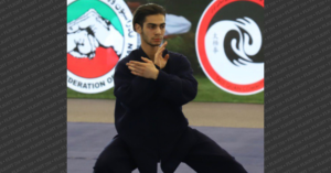 Arshia Arbabbahrami - Tai Chi