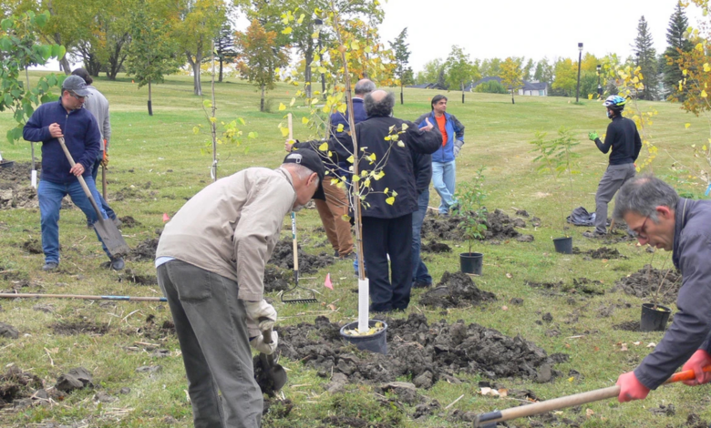 Tree Planting Winnipeg